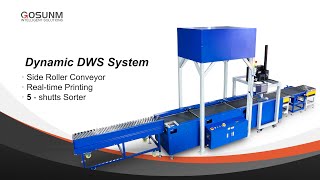 Dynamic DWS 5 ports sorting line with realtime printing [upl. by Cutlip879]