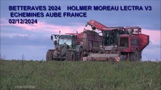 BETTERAVES 2024  HOLMER MOREAU LECTRA V3  ECHEMINES  AUBE  FRANCE [upl. by Aterg]