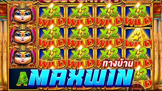 Cleocatra Pragmatic Play Maxwin ทางบ้าน EP5 [upl. by Derrick]