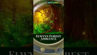 ELWYNN FOREST AMBIANCE 05 ambiance forest worldofwarcraft elwynnforest relaxingnature [upl. by Armitage]