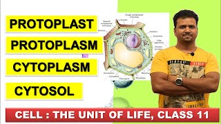 PROTOPLAST PROTOPLASM CYTOPLASM CYTOSOL  CELL THE UNIT OF LIFE Class 11  NCERT Biology  NEET [upl. by Orran]