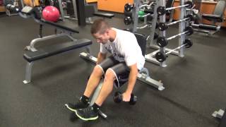 How to Do Seated Bent Over Dumbbell Reverse Fly [upl. by Amla916]