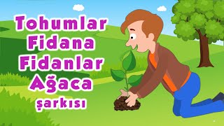 Tohumlar Fidana Fidanlar Ağaca Şarkısı [upl. by Aremmat]