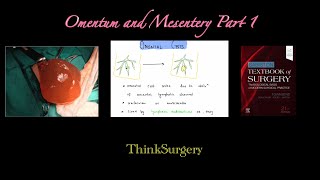 Omentum and Mesentery Part 1 [upl. by Torray]