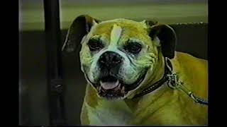 WSU College of Veterinary Medicine  1997 Promotion [upl. by Wally]