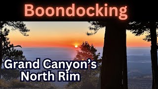 Top Boondocking Site  Grand Canyons North Rim  Free Camping on Forest Road 611 in our ALINER [upl. by Griswold]