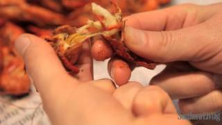 How To Eat Crawfish [upl. by Elyad426]