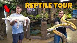 CAGE BY CAGE EXOTIC REPTILE STORE TOUR insane [upl. by Annagroeg797]