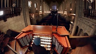 Pipe Organ An instrument the size of a building [upl. by Ynnelg963]