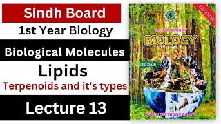 terpenoids  lipids  biological molecules class 11 biology Sindh board new book [upl. by Ayekam]