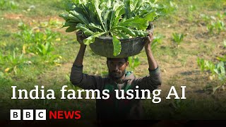 Artificial intelligence comes to farming in India  BBC News [upl. by Uos826]