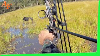 🐗 Pig Compound Bow Hunting Australia Wild Boars EP21 [upl. by Arval680]