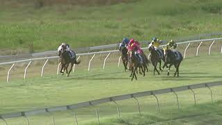 Yeppoon 20241102 Race 5 [upl. by Oler]