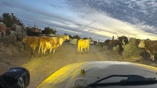 Ruta a Laguna Hanson 🇲🇽 [upl. by Modnarb726]