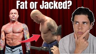 Fat or Jacked Joe Rogan’s Bubble Gut Explained [upl. by Anse295]