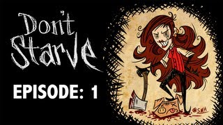 Lets Play Dont Starve Episode 1  Call of the Wild [upl. by Ume]