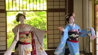 Ep 9 Geishaspotting Geisha group dance at Genkoan in Kyoto Japan [upl. by Yhtak67]