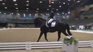 US Dressage Finals 2021 1st Level Musical Freestyle Championship [upl. by Niwdog]