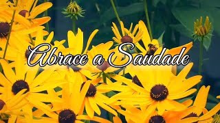 Abrace a Saudade  Ítalo Poeta  Voz Luce Melo [upl. by Willumsen791]