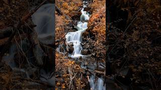 Multnomah Falls [upl. by Myo]