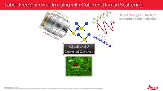 STELLARIS 8 CRS A true multimodal optical discovery platform [upl. by Imot]