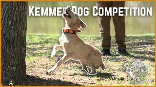 KSBA Fall Hunt and Dog Competition  Fall 2024 [upl. by Pentheam]