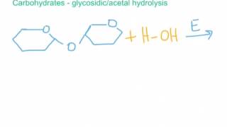 Hydrolysis Reactions for Esters Amides and Glycosidic Bonds [upl. by Annawyt565]