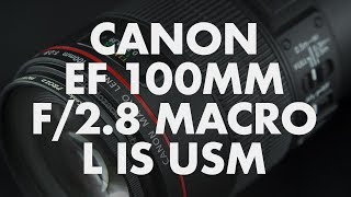 Lens Data  Canon EF 100mm f28 L Macro IS USM Review [upl. by Jabon]