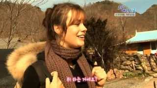 Wwoofing experience in Handemy EcoVillage 한드미마을 Danyang Korea [upl. by Nej]