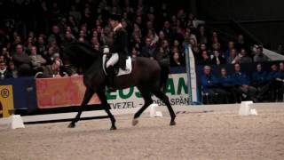 Citango 2010 Stallion Show Part 1 of 3 [upl. by Ahsinoj892]