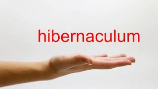 How to Pronounce hibernaculum  American English [upl. by Reviere405]