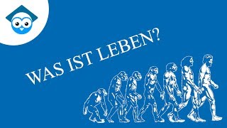 Was ist Leben [upl. by Eglanteen563]