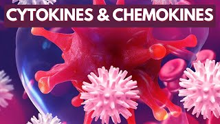 Immunology Lecture 8  Cytokines and Chemokines [upl. by Eedya290]