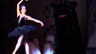 Cia Brasileira de Ballet Lago dos Cisnes Cisne Negro [upl. by Acire]