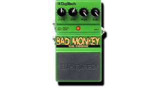 Digitech Bad Monkey pedal Demonstration Review  Tube Overdrive pedal stompbox [upl. by Seniag490]