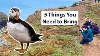 5 Essentials for a Visit to Skomer Island  Puffin Watching [upl. by Banyaz709]