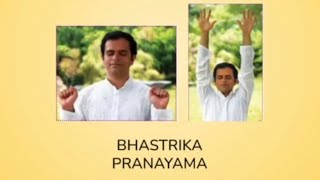 Art of living Bhastrika Pranayama  Sri Sri Ravishankar ji  artofliving bhastrikapranayama [upl. by Bunder]