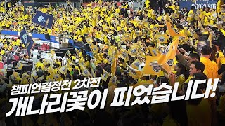 1차전 리버스 스윕승에 이어 2차전 풀 세트 접전 끝 승리 짜릿한 봄 배구 현장 속 활짝 핀 개나리꽃  20232024시즌 챔피언 결정전 2차전 Vs흥국생명 [upl. by Ahtreb]