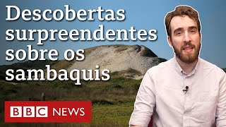 As novas descobertas sobre os misteriosos sambaquis construídos há 8 mil anos no litoral do Brasil [upl. by Eide954]