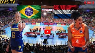 BRASIL X HOLANDA AO VIVO VNL FEMININA DE VÔLEI ONDE ASSISTIR COM IMAGENS [upl. by Rice]