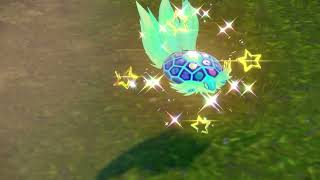 Shiny Strange Ball Terapagos Goes hard ngl [upl. by Shanda818]