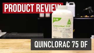 Quinclorac 75 DF Crabgrass Killer Product Review [upl. by Suivatra707]