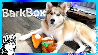 ALL THE TOYS BELONG TO SHELBY  Thanksgiving Bark Box Unboxing with Dog Commentary [upl. by Alena161]