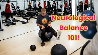 10 Beginner NeurologicalAtaxia Balance Exercises [upl. by Neehahs]