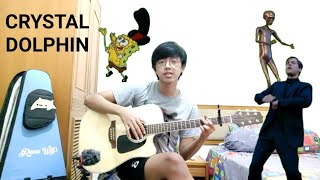 CRYSTAL DOLPHIN  ENGLEWOOD  FINGERSTYLE GUITAR COVER [upl. by Eiznekam]