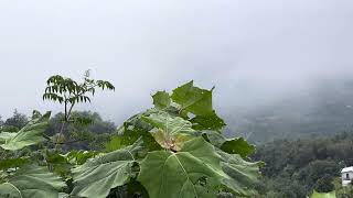 Santiago Chimaltenango Guatemala [upl. by Anilehs525]