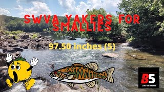 SWVA Yakers For Smallies  Smallmouth Bass Kayak Fishing Trail [upl. by Lenaj]