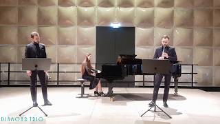 Diamond Trio  Alexander Rosenblatt Fantasie on themes from the opera quotCarmenquot by G Bizet [upl. by Genet]