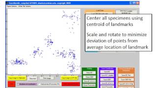 Landmark morphometrics [upl. by Suertemed]