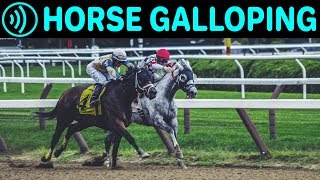 HORSE GALLOPING SOUNDS  Horse Running  Free Galloping Horses Noise Sound FX for Download [upl. by Ahsinhoj615]